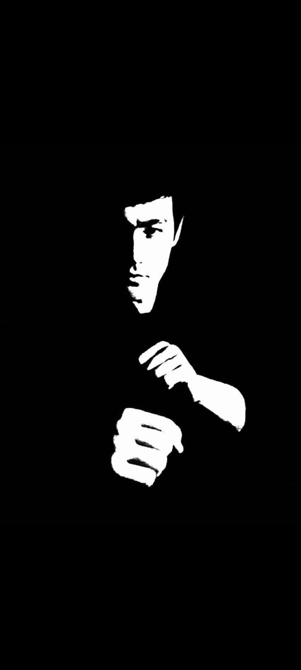 Master Bruce Lee Men's 100% Cotton Printed Regular Fit Round Neck T-Shirt